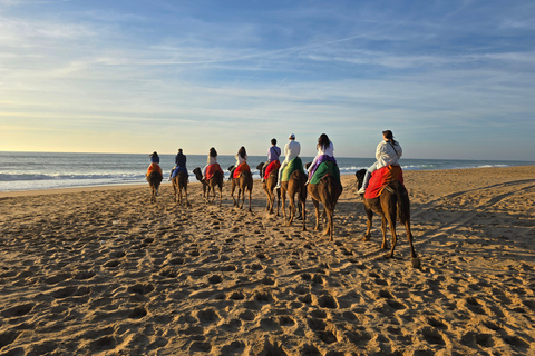 Camel Walk in Tangier