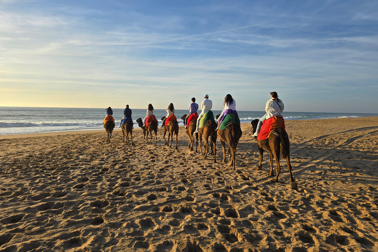 Camel Walk in Tangier