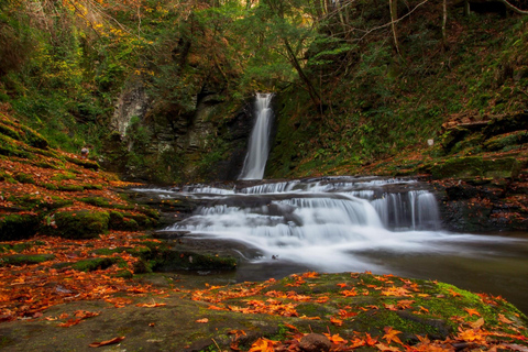 Nagoya: Soni Highlands & Akame 48 Waterfalls Guided Hike