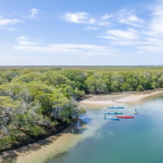 Adelaide: Dolphin Sanctuary Mangroves Kayak Tour