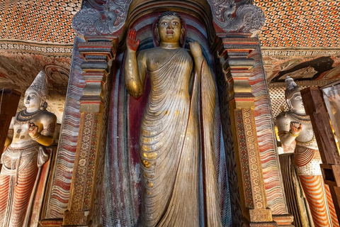 5 Days Sri Lanka Highlights Tour: Culture, Nature & Heritage