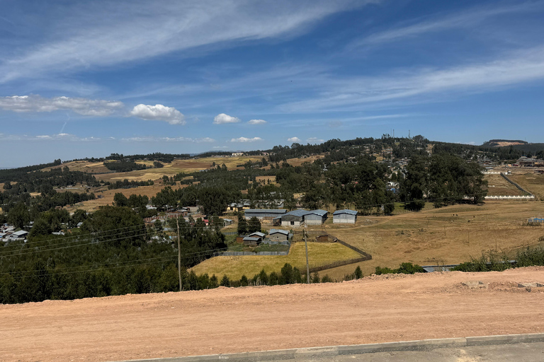 Addis Ababa: Entoto Forest, Villages, and Lunch Tour