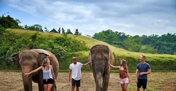 Bali Zoo: Breakfast with Observe Orangutans & Elephant Care
