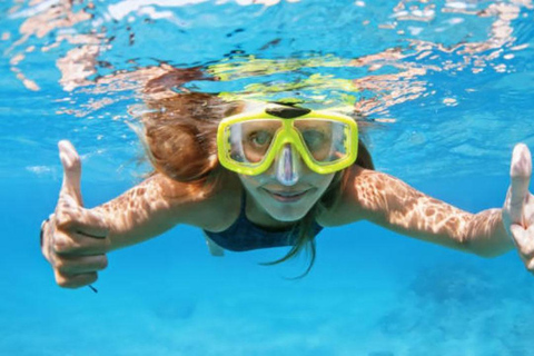 Hurghada: Excursão de mergulho com golfinhos e recifes de coral com almoçoPasseio de barco para observação de golfinhos com snorkeling e almoço