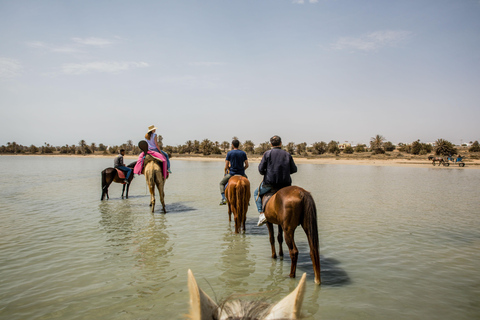 Paquete familiar: reserva tres excursiones y disfruta de una gratis.