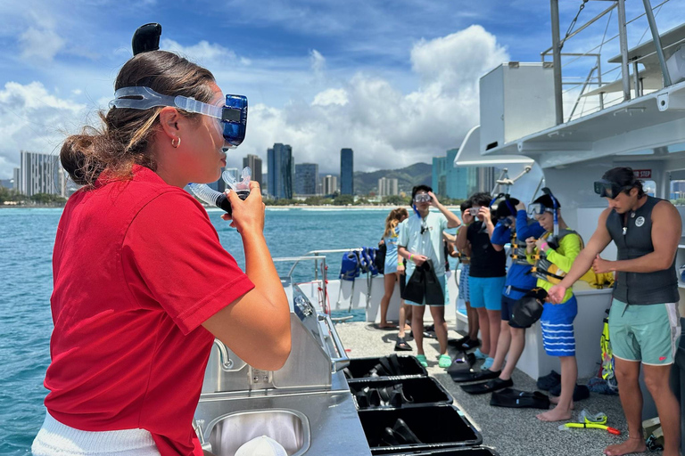 مغامرة الغوص مع سلحفاة وايكيكي