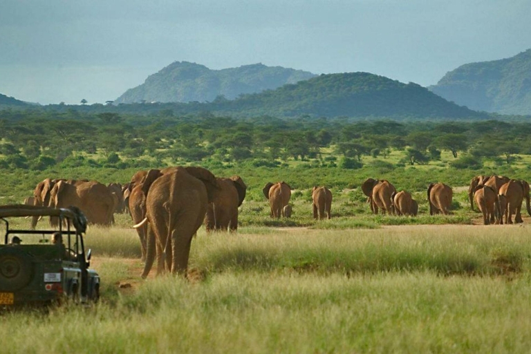 Private 3 Days Samburu National Park Safari All Inclusive
