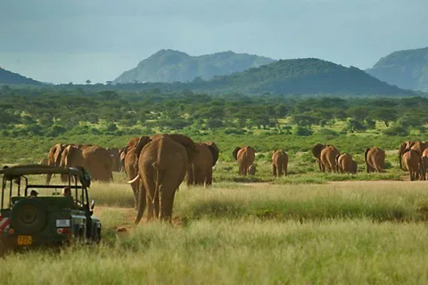 Nairobi: 3-day all-inclusive Samburu National park safari