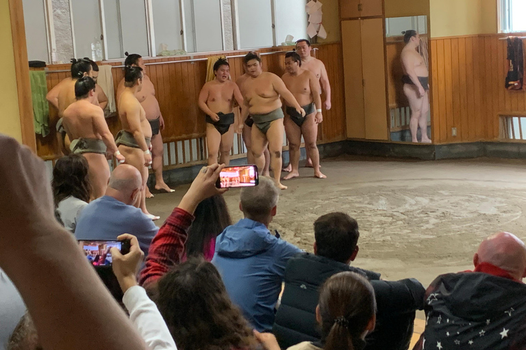 Tokyo: Besök Sumo Morning Practice med engelsk guide