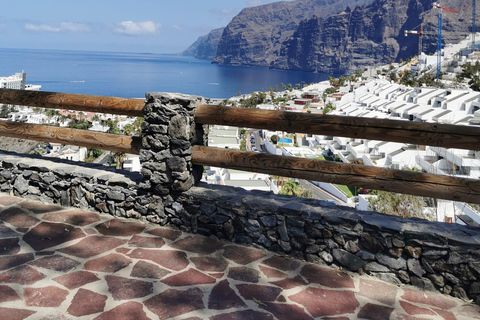 Tenerife: Island Tour with Teide Volcano and Lunch