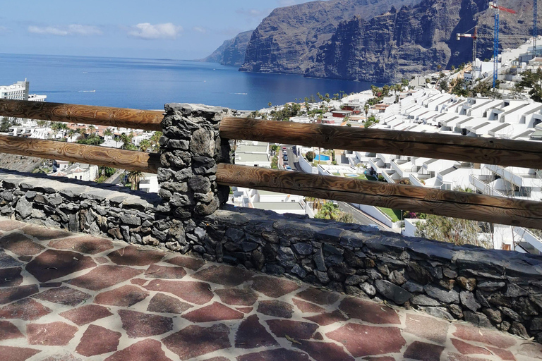 Tenerife: Island Tour with Teide Volcano and Lunch