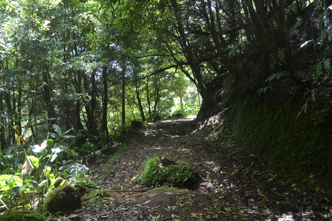 Sao Miguel Hike to Janela do Inferno and Lagoa do Fogo