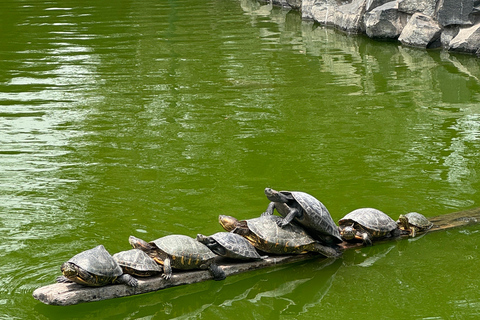 Lima Komplett: Centrum, katakomberna, Miraflores, Barranco och San Isidro