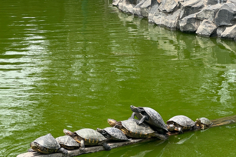 Lima Komplett: Centrum, katakomberna, Miraflores, Barranco och San Isidro