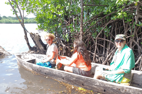 Zanzíbar: Tour tradicional de Zanzíbar de día completo