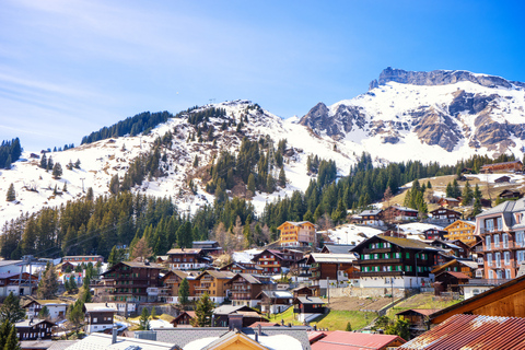 De Lucerna: Excursão particular de um dia para Interlaken e Grindelwald