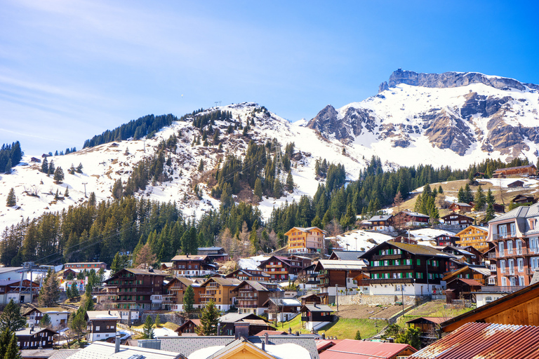 Depuis Lucerne : Excursion privée d'une journée à Interlaken et Grindelwald