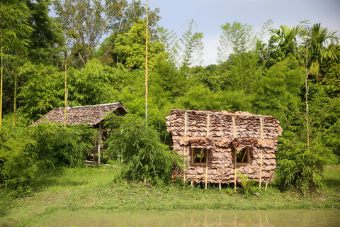 Chiang Mai : Buffles thaïlandais et plantation de riz