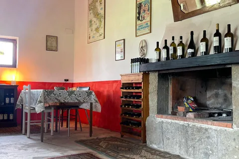 Frascati: Vineyard Wine Tasting Tour with Snacks