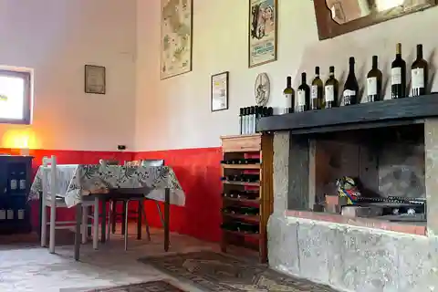 Frascati: Vineyard Wine Tasting Tour with Snacks