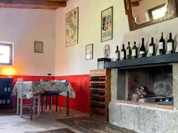 Frascati : Visite des vignobles avec dégustation de vins et collations