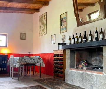 Frascati: Vineyard Wine Tasting Tour with Snacks