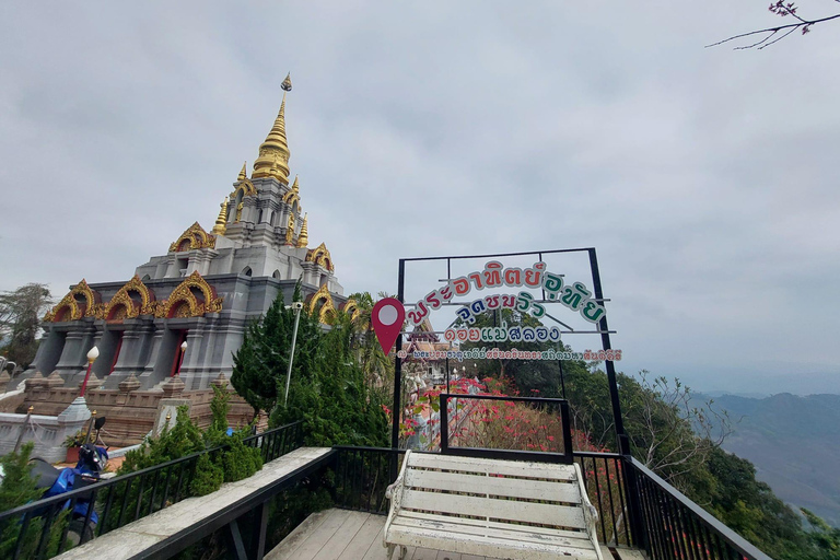 Chiang Rai: Mountains Discovery Doi Mae Salong & Doi Tung Mountains Discovery:Doi Mae Salong & Doi Tung (Private Tour)