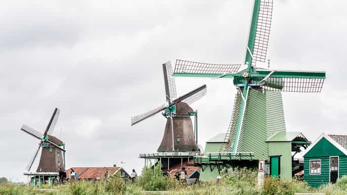 From Amsterdam: Guided Zaanse Schans & Cheese Tasting Tour