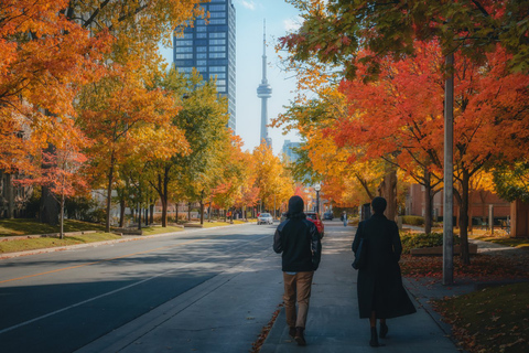 Toronto: op tips gebaseerde wandeltocht van 3 uurToronto: 3 uur durende wandeltocht op basis van fooien in het Spaans