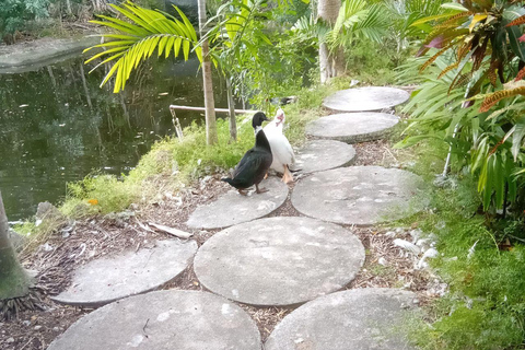 Freeport: Grand Bahama Culture, History & Local Flavors Tour Grand Bahama: City Tour with Tastings and Local Guide