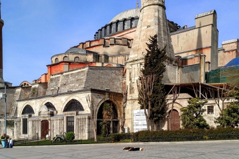 Estambul: tour grupo reducido de Santa Sofía y Mezquita AzulTour privado de 4 h en alemán