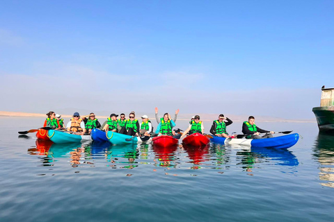Paracas Ocean Experience: Ballestas Islands Premium, Kayak and Flamingos Paracas Ocean Experience: Premium Ballestas Islands, Kayak, and Flamingos