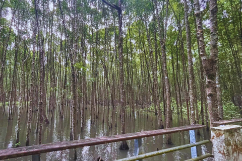 Langkawi: KILIM Geoforest Mangrove Jetski Tour Adventure 3H Single Rider Jet Ski Option