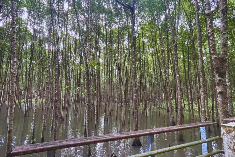 Langkawi: KILIM Geoforest Mangrove Jetski Tour Adventure 3H Single Rider Jet Ski Option