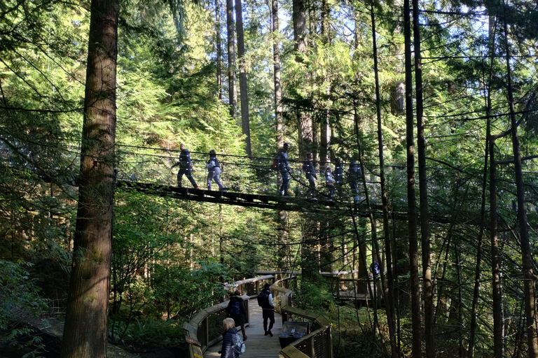 4Tour:Capilano Suspension Br/CAR/Kleingruppe+See+Damm+Hacher