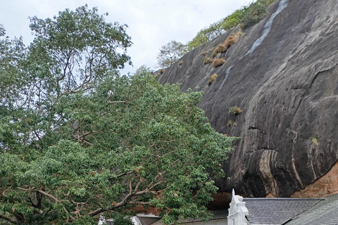From Colombo: Day Trip Sigiriya, Dambulla & Kandalama Lake From Colombo: Day Trip Sigiriya, Dambulla - All Inclusive