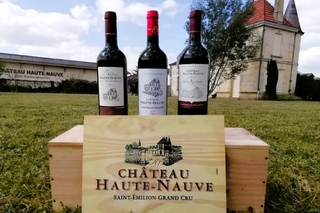 Saint-Emilion : Tasting of 4 wines in a family vineyard