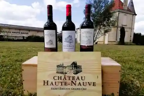 Saint-Emilion : Prova de 4 vinhos numa vinha familiar