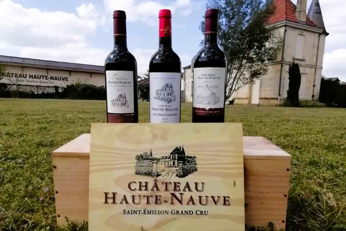 Saint-Emilion : Tasting of 4 wines in a family vineyard