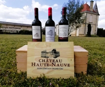 Saint-Emilion : Tasting of 4 wines in a family vineyard