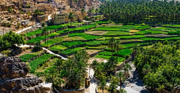 Muscat: Jebel Shams & Nizwa 2-Days Tour