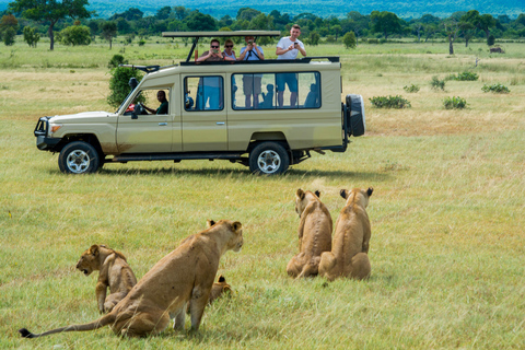 Tanzania: Safari de 2 días a Tarangire y el cráter del Ngorongoro