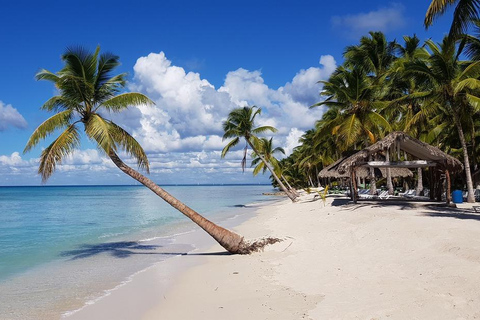 Private Island Tour of Martinique with Local Driver-Guide
