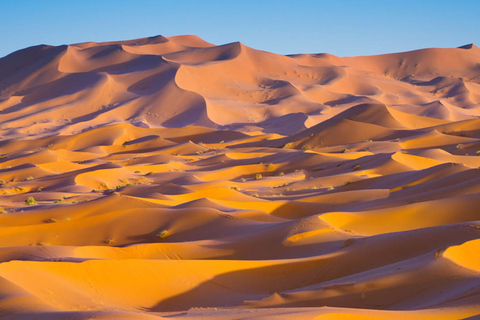 Marrakech: 3-Day Merzouga Desert Tour with Luxury Camp Private Tour – Your Group Only