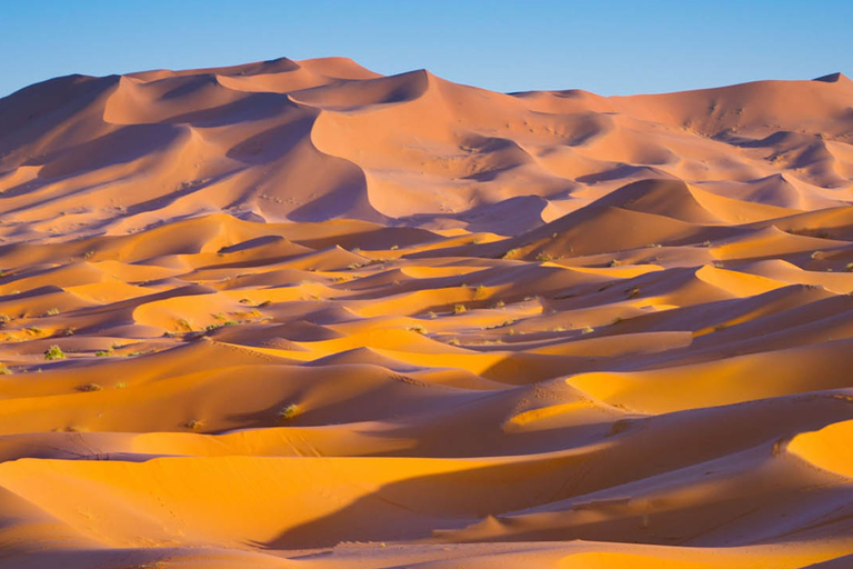 Marrakech: 3-Day Merzouga Desert Tour with Luxury Camp Private Tour – Your Group Only