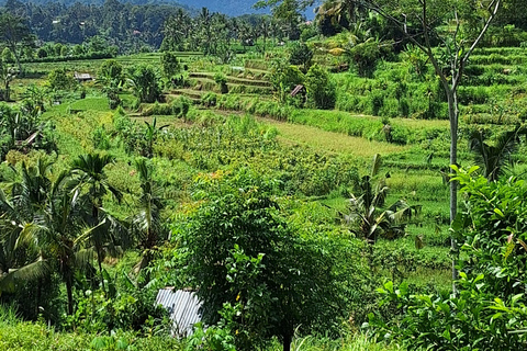 Sidemen Trekking : Une marche dans une perspective différente