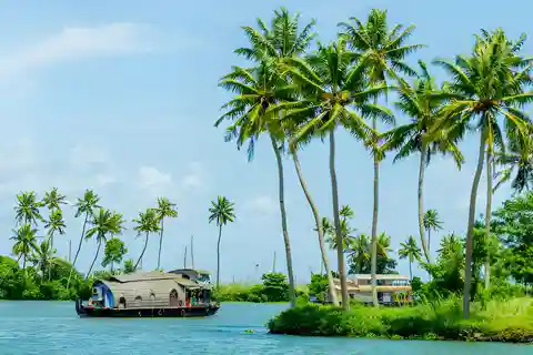 From Cochin: Day Tour of Alleppey houseboat with Lunch