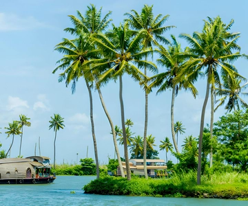 From Cochin: Day Tour of Alleppey houseboat with Lunch