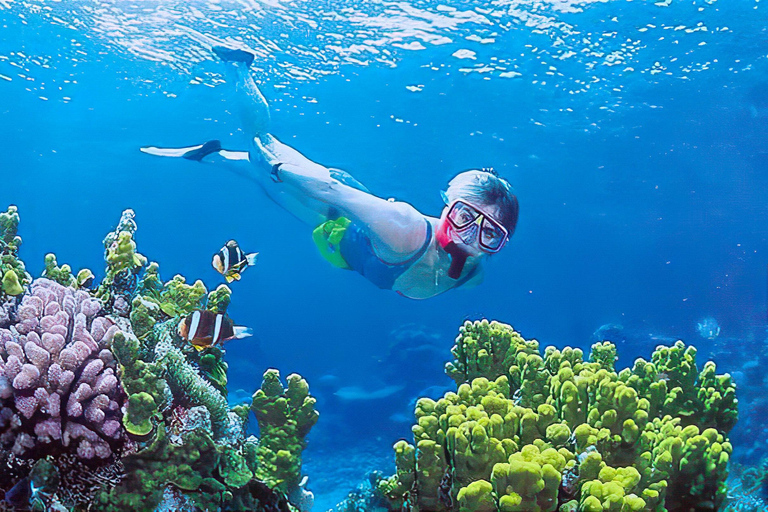 Snorkelavontuur op de Gili-eilanden"Snorkelavontuur op de Gili-eilanden"