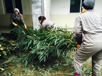 Volunteer Project Project Project Trip (Wole Call 